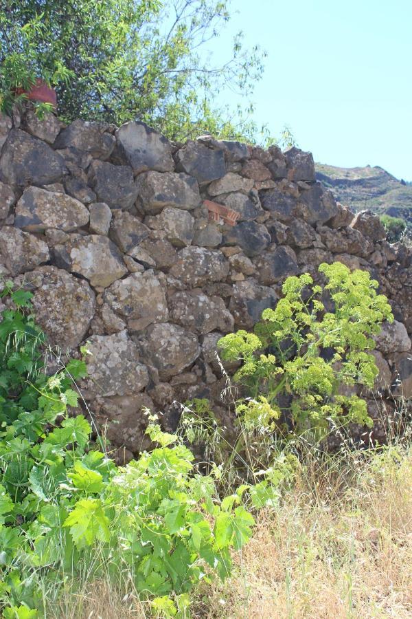 Casa-Finca El Maipez De Tejeda Las Palmas / Gran Canaria Exterior foto